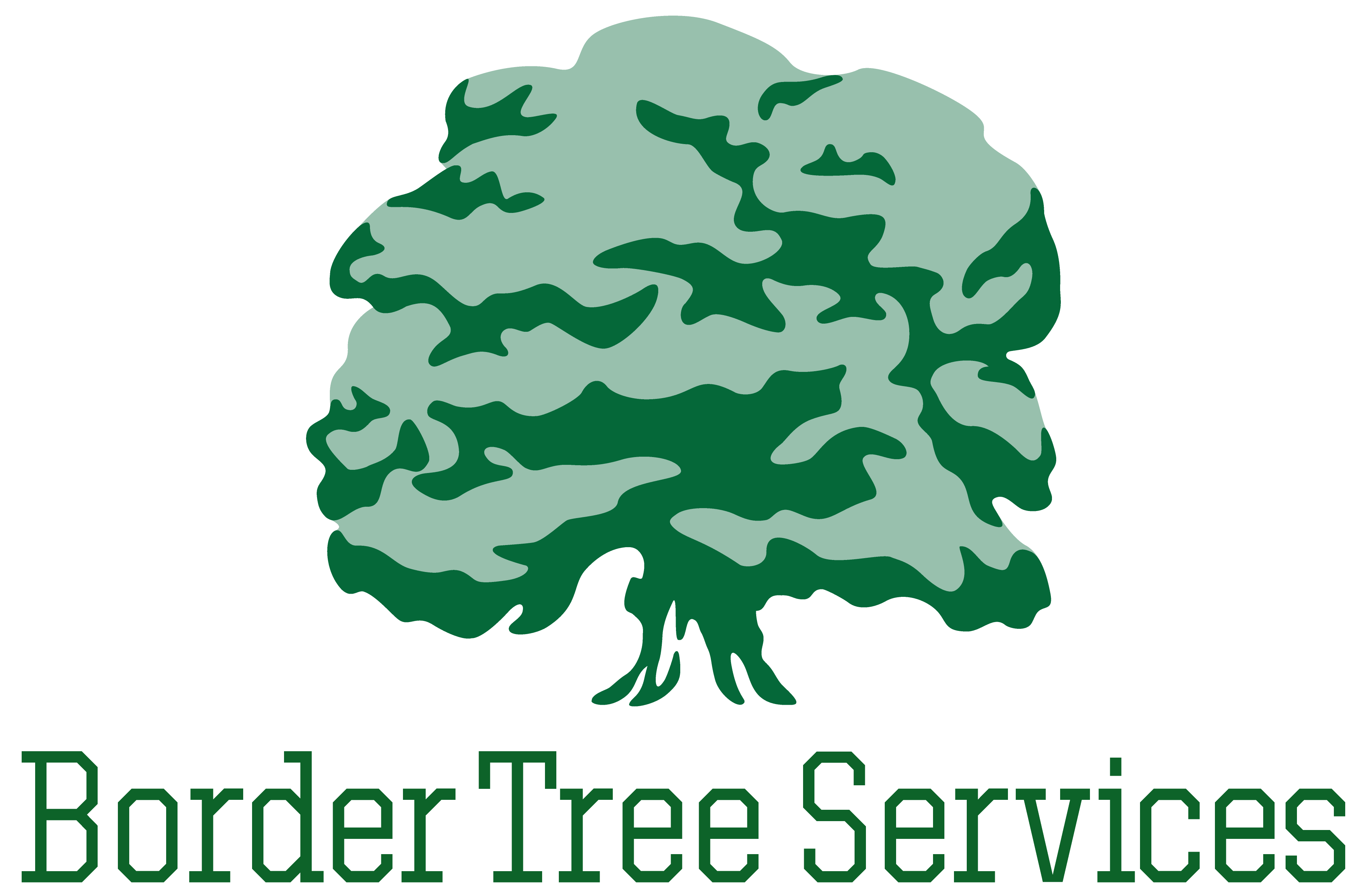 Border Tree Services Logo